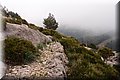 P1160300.JPG