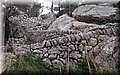 P1200309.JPG