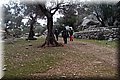 P1200311.JPG