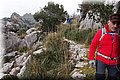 P1200326.JPG
