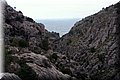 P1200350.JPG