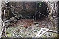 P1200394.JPG