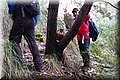 P1200428.JPG