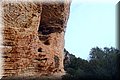 P1230652.JPG