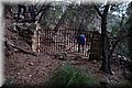 P1270810.JPG