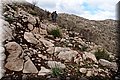 P1301003.JPG