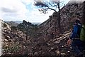 P1301012.JPG