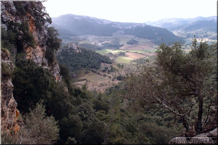 P2031331.JPG
