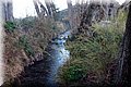 P2031314.JPG