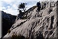 P2031370.JPG
