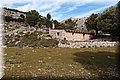 P2031381.JPG