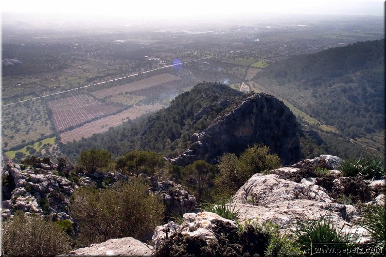 P2061503.JPG