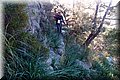 P2061411.JPG