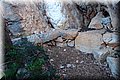 P2061413.JPG