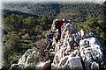 P2061440.JPG