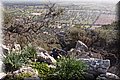 P2061455.JPG