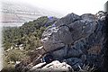 P2061469.JPG