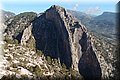 P2061505.JPG