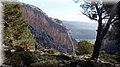 P2061512.JPG