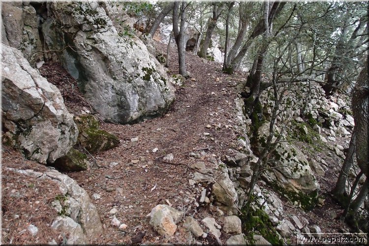 P2101728.JPG