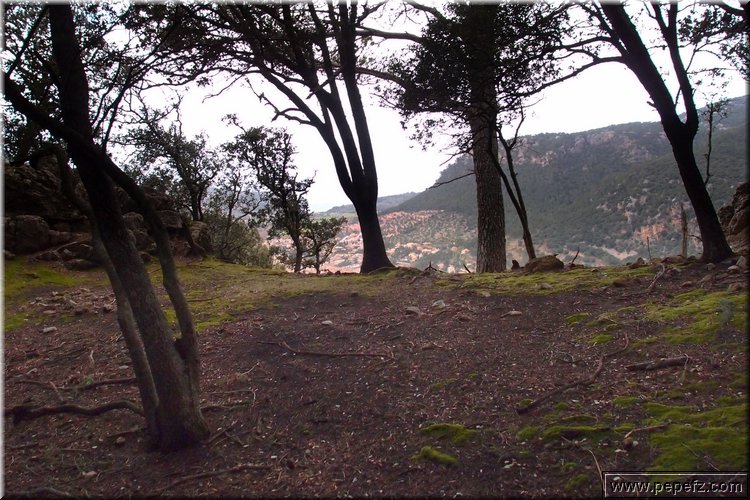 P2101732.JPG