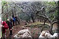 P2101706.JPG