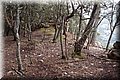 P2101735.JPG