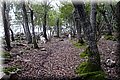 P2101740.JPG