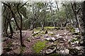 P2101743.JPG