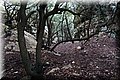 P2101765.JPG