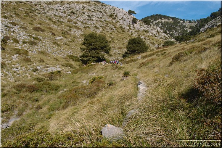 P2131973.JPG