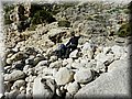 DSCN1454.jpg