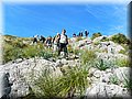 DSCN1458.jpg