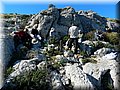 DSCN1476.jpg