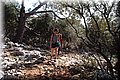 P2162150.JPG