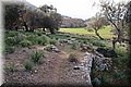 P2172170.JPG