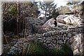 P2172176.JPG
