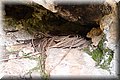 P2172204.JPG