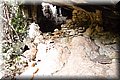 P2172205.JPG