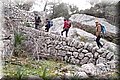 P2172289.JPG