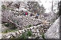 P2172296.JPG