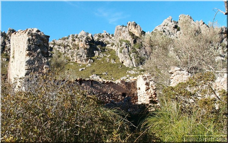 P2202462.JPG