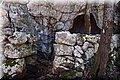 P2202429.JPG