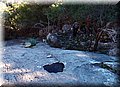 P2202436.JPG