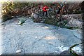 P2202437.JPG