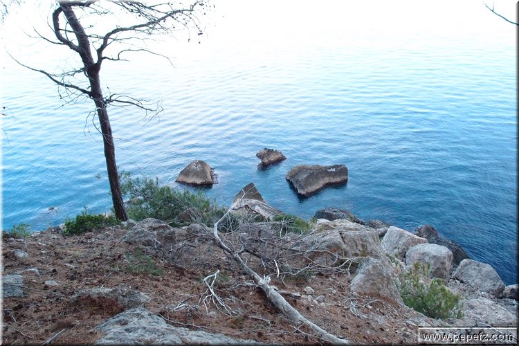 P2242636.JPG
