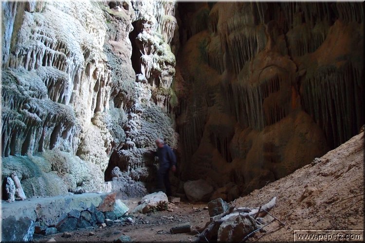 P2242703.JPG