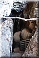 P2242689.JPG
