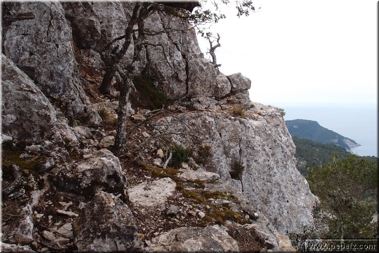 P2272967.JPG