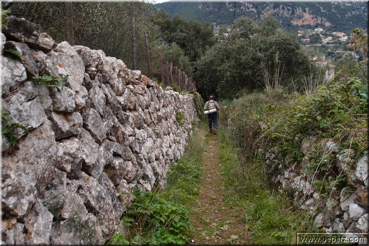 P2273032.JPG